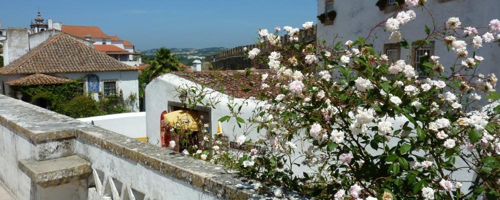 Ferienwohnung Carmona São Martinho do Porto Exterior foto